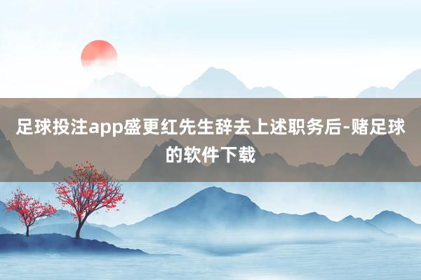 足球投注app盛更红先生辞去上述职务后-赌足球的软件下载