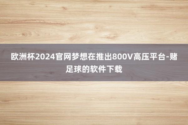 欧洲杯2024官网梦想在推出800V高压平台-赌足球的软件下载