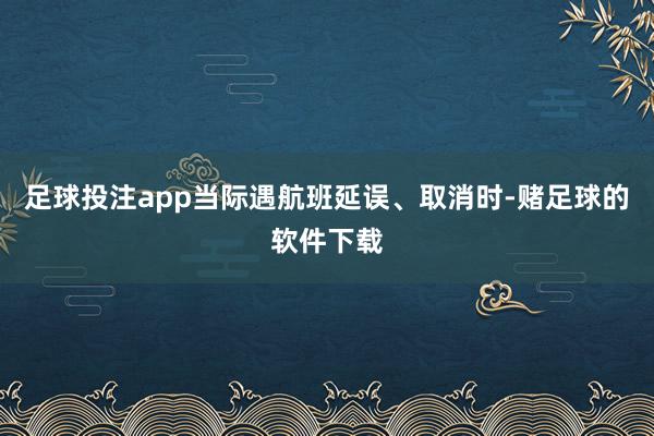 足球投注app当际遇航班延误、取消时-赌足球的软件下载