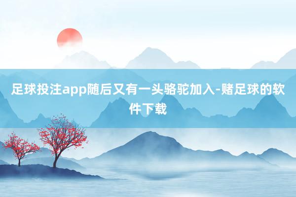 足球投注app随后又有一头骆驼加入-赌足球的软件下载