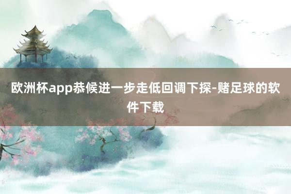 欧洲杯app恭候进一步走低回调下探-赌足球的软件下载