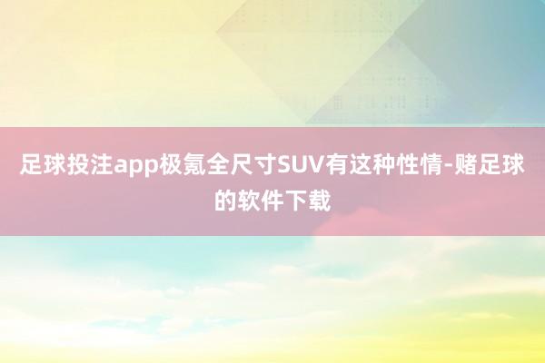 足球投注app极氪全尺寸SUV有这种性情-赌足球的软件下载