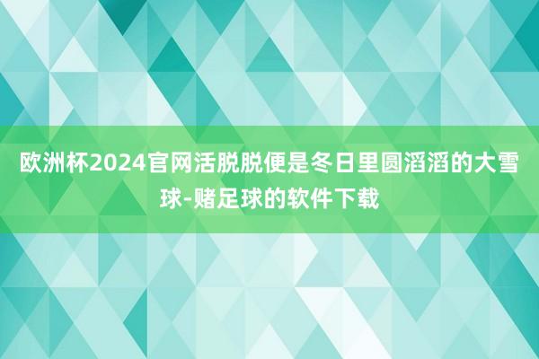 欧洲杯2024官网活脱脱便是冬日里圆滔滔的大雪球-赌足球的软件下载