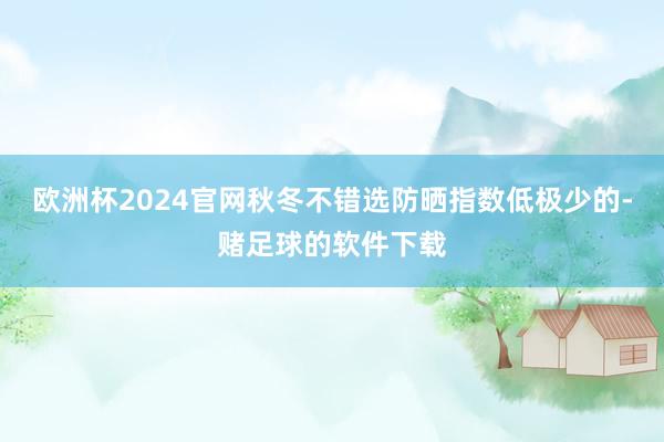 欧洲杯2024官网秋冬不错选防晒指数低极少的-赌足球的软件下载