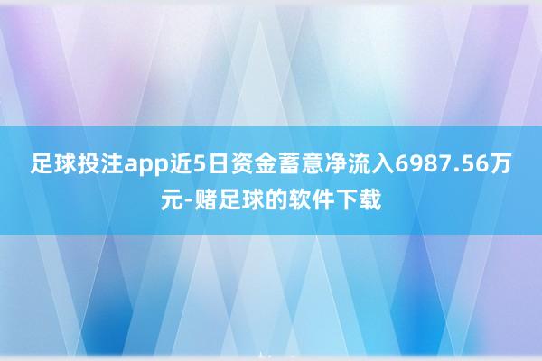 足球投注app近5日资金蓄意净流入6987.56万元-赌足球的软件下载