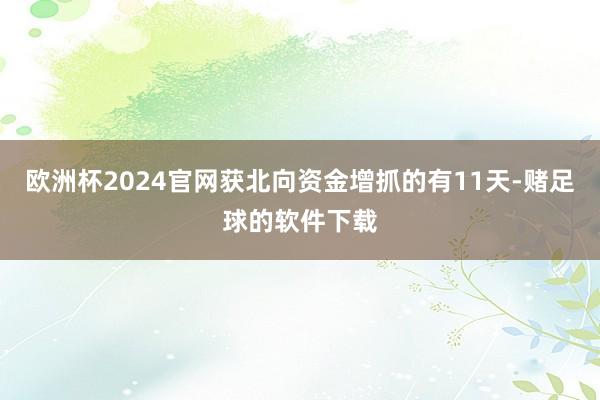 欧洲杯2024官网获北向资金增抓的有11天-赌足球的软件下载