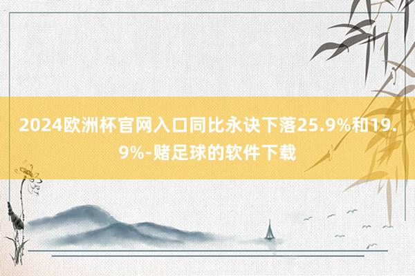 2024欧洲杯官网入口同比永诀下落25.9%和19.9%-赌足球的软件下载