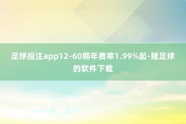 足球投注app12-60期年费率1.99%起-赌足球的软件下载