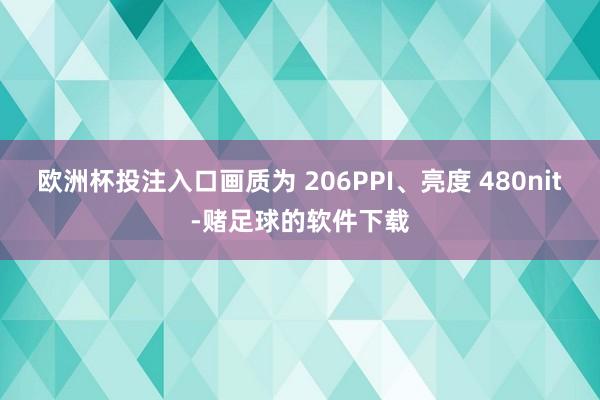 欧洲杯投注入口画质为 206PPI、亮度 480nit-赌足球的软件下载