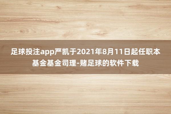 足球投注app严凯于2021年8月11日起任职本基金基金司理-赌足球的软件下载