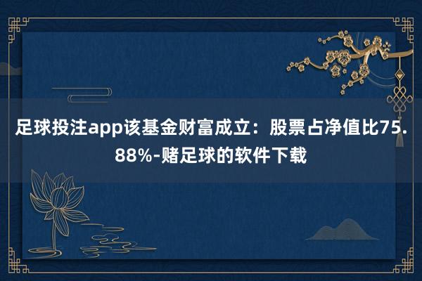 足球投注app该基金财富成立：股票占净值比75.88%-赌足球的软件下载