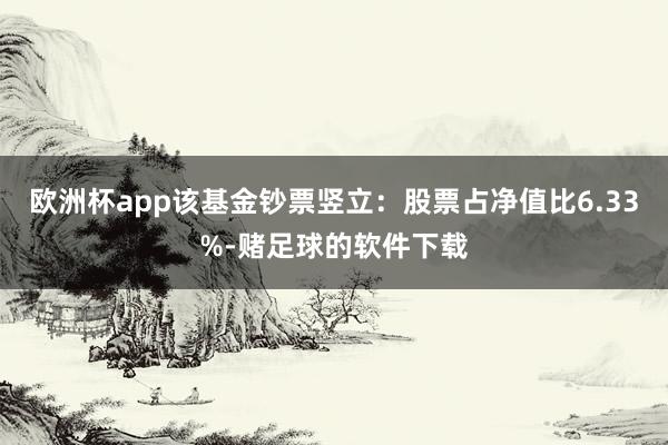 欧洲杯app该基金钞票竖立：股票占净值比6.33%-赌足球的软件下载