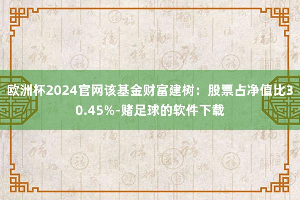 欧洲杯2024官网该基金财富建树：股票占净值比30.45%-赌足球的软件下载