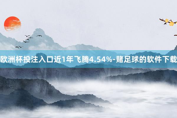 欧洲杯投注入口近1年飞腾4.54%-赌足球的软件下载