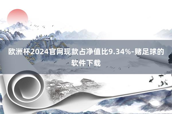 欧洲杯2024官网现款占净值比9.34%-赌足球的软件下载