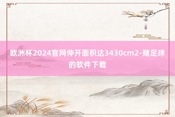 欧洲杯2024官网伸开面积达3430cm2-赌足球的软件下载