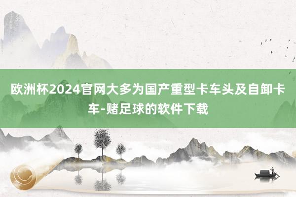 欧洲杯2024官网大多为国产重型卡车头及自卸卡车-赌足球的软件下载