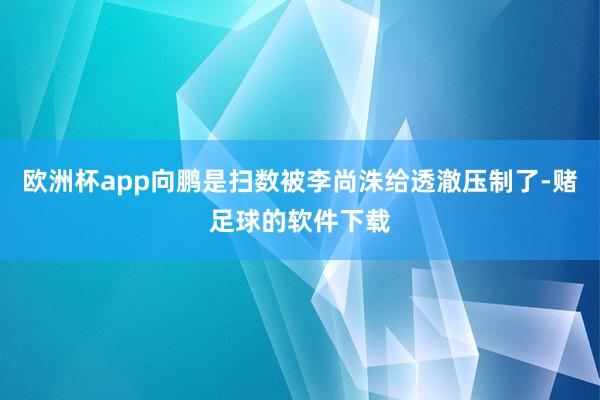 欧洲杯app向鹏是扫数被李尚洙给透澈压制了-赌足球的软件下载