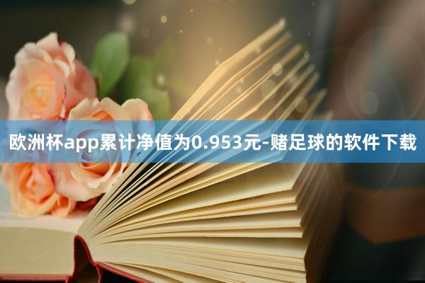 欧洲杯app累计净值为0.953元-赌足球的软件下载