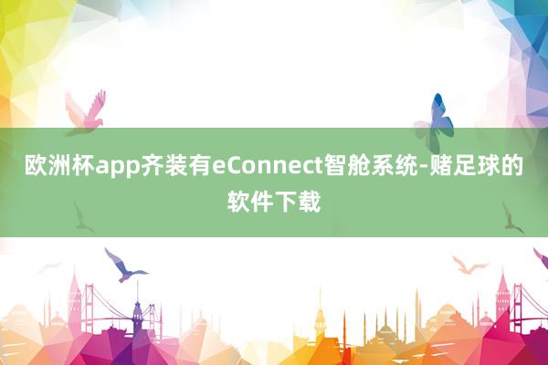 欧洲杯app齐装有eConnect智舱系统-赌足球的软件下载