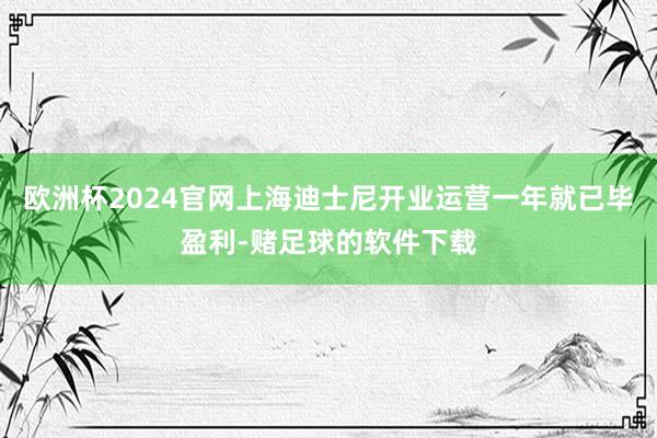 欧洲杯2024官网上海迪士尼开业运营一年就已毕盈利-赌足球的软件下载