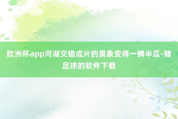 欧洲杯app河湖交错成片的景象变得一鳞半瓜-赌足球的软件下载