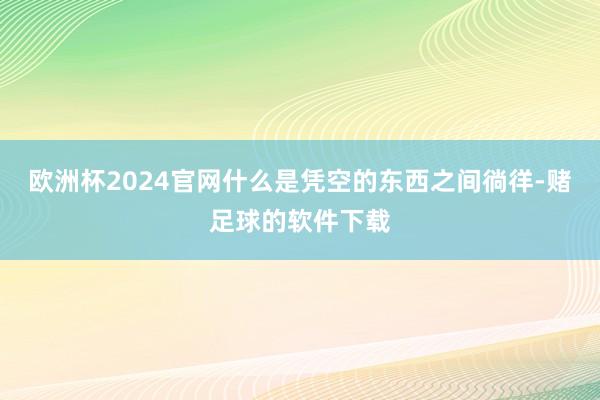 欧洲杯2024官网什么是凭空的东西之间徜徉-赌足球的软件下载