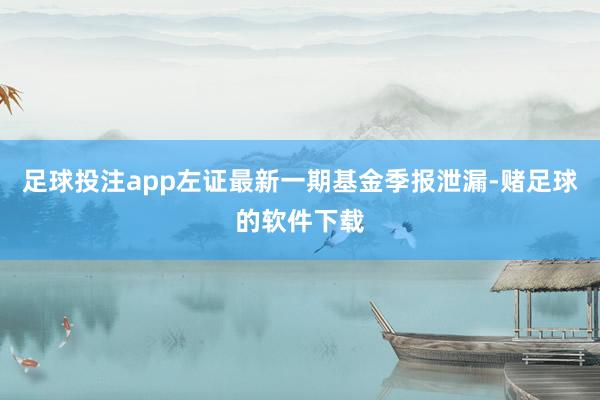 足球投注app左证最新一期基金季报泄漏-赌足球的软件下载