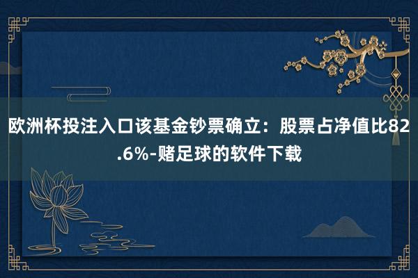 欧洲杯投注入口该基金钞票确立：股票占净值比82.6%-赌足球的软件下载