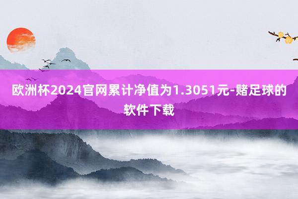 欧洲杯2024官网累计净值为1.3051元-赌足球的软件下载