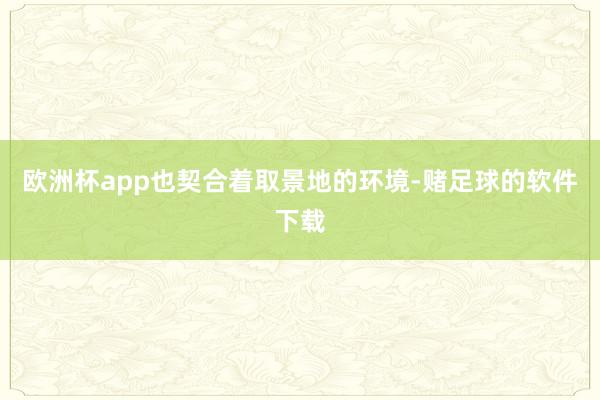 欧洲杯app也契合着取景地的环境-赌足球的软件下载