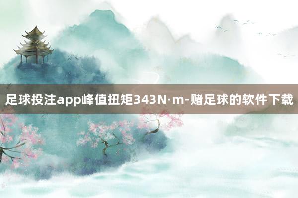 足球投注app峰值扭矩343N·m-赌足球的软件下载