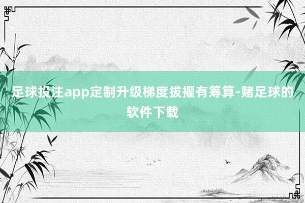 足球投注app定制升级梯度拔擢有筹算-赌足球的软件下载