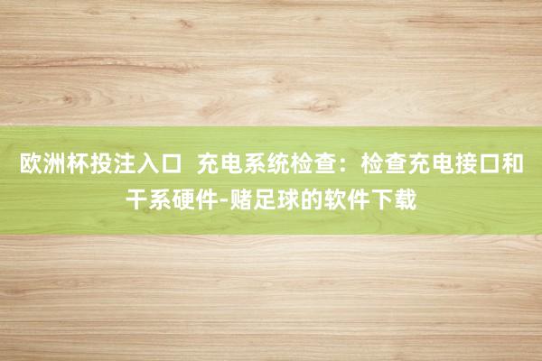 欧洲杯投注入口  充电系统检查：检查充电接口和干系硬件-赌足球的软件下载