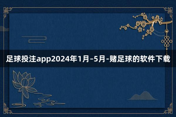 足球投注app2024年1月–5月-赌足球的软件下载