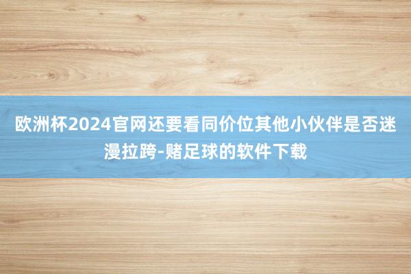 欧洲杯2024官网还要看同价位其他小伙伴是否迷漫拉跨-赌足球的软件下载