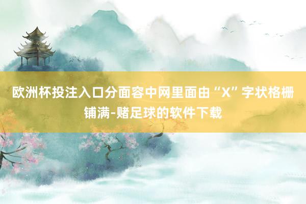 欧洲杯投注入口分面容中网里面由“X”字状格栅铺满-赌足球的软件下载