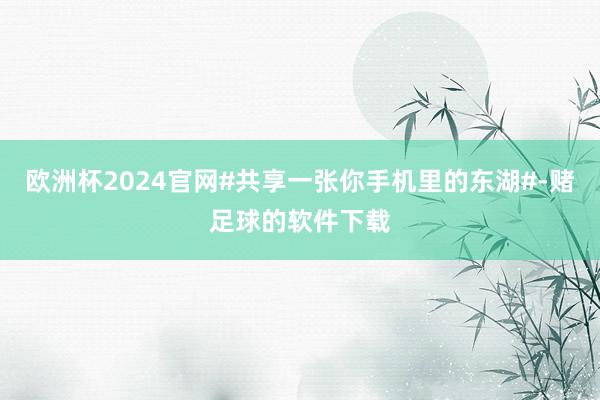 欧洲杯2024官网#共享一张你手机里的东湖#-赌足球的软件下载