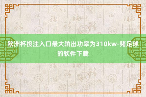 欧洲杯投注入口最大输出功率为310kw-赌足球的软件下载