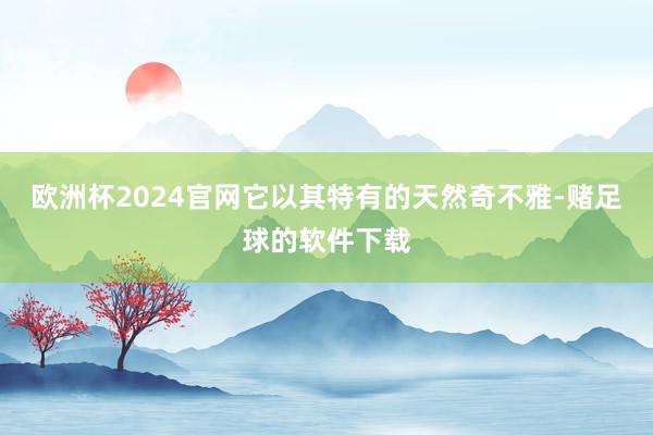 欧洲杯2024官网它以其特有的天然奇不雅-赌足球的软件下载