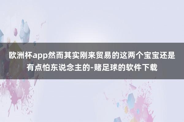 欧洲杯app然而其实刚来贸易的这两个宝宝还是有点怕东说念主的-赌足球的软件下载