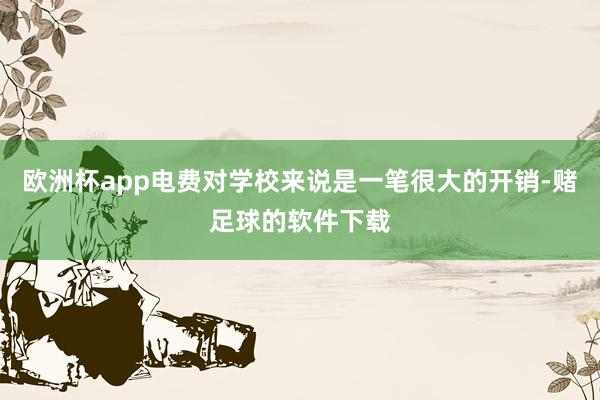 欧洲杯app电费对学校来说是一笔很大的开销-赌足球的软件下载