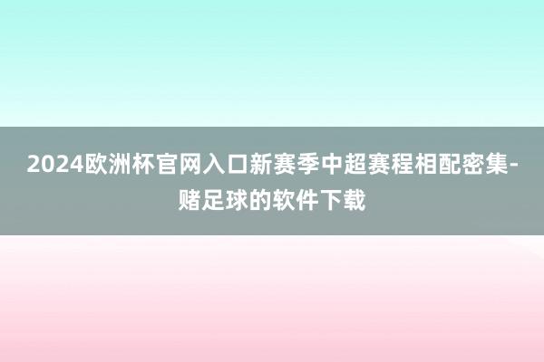 2024欧洲杯官网入口新赛季中超赛程相配密集-赌足球的软件下载