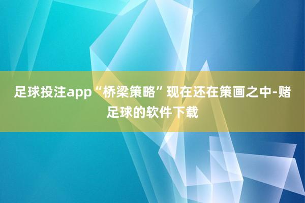 足球投注app“桥梁策略”现在还在策画之中-赌足球的软件下载