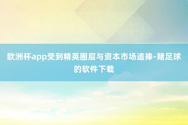 欧洲杯app受到精英圈层与资本市场追捧-赌足球的软件下载