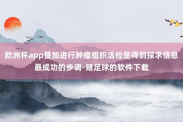 欧洲杯app叠加进行肿瘤组织活检是得到探求信息最成功的步调-赌足球的软件下载