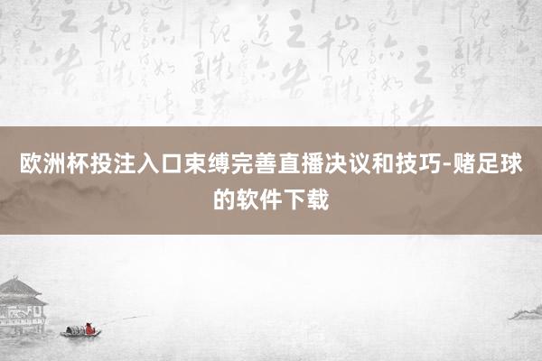 欧洲杯投注入口束缚完善直播决议和技巧-赌足球的软件下载