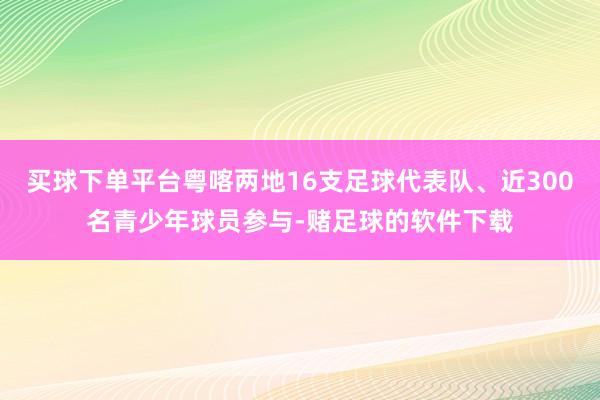 买球下单平台粤喀两地16支足球代表队、近300名青少年球员参与-赌足球的软件下载