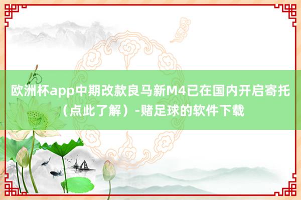 欧洲杯app中期改款良马新M4已在国内开启寄托（点此了解）-赌足球的软件下载