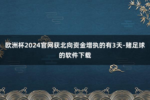 欧洲杯2024官网获北向资金增执的有3天-赌足球的软件下载